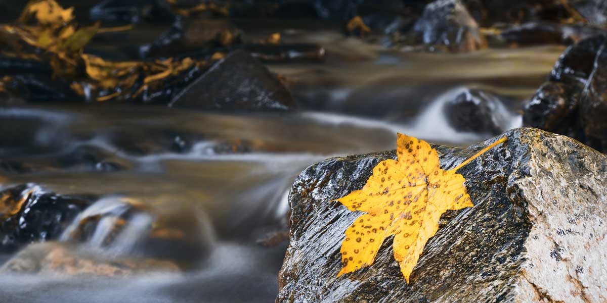 Customer Experience is a River