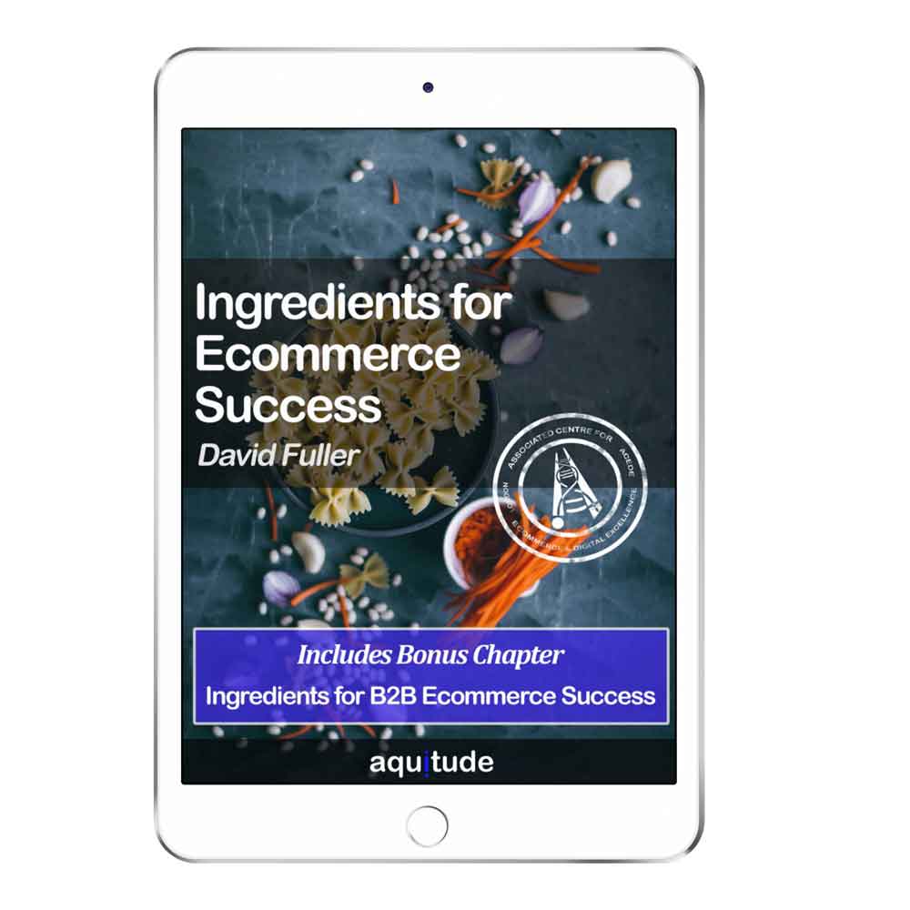 Book: Ingredients for B2B Ecommerce Success, by David Fuller