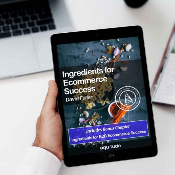 Book: Ingredients for B2B Ecommerce Success, by David Fuller - Image 2
