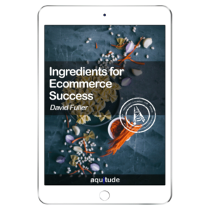 Ingredients for Ecommerce Success Book by David Fuller