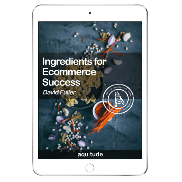 Ingredients for Ecommerce Success Book by David Fuller