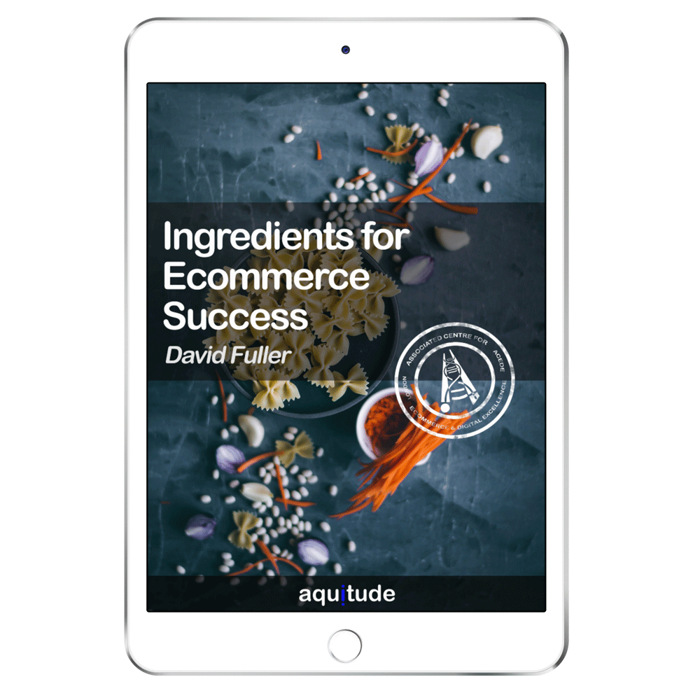 Book: Ingredients for Ecommerce Success, by David Fuller
