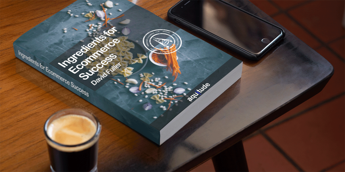 Ingredients for Ecommerce Success Book by David Fuller