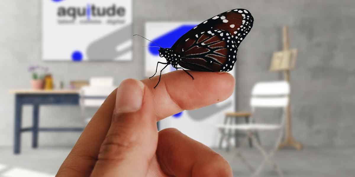 Customer Lifetime Value and Loyalty